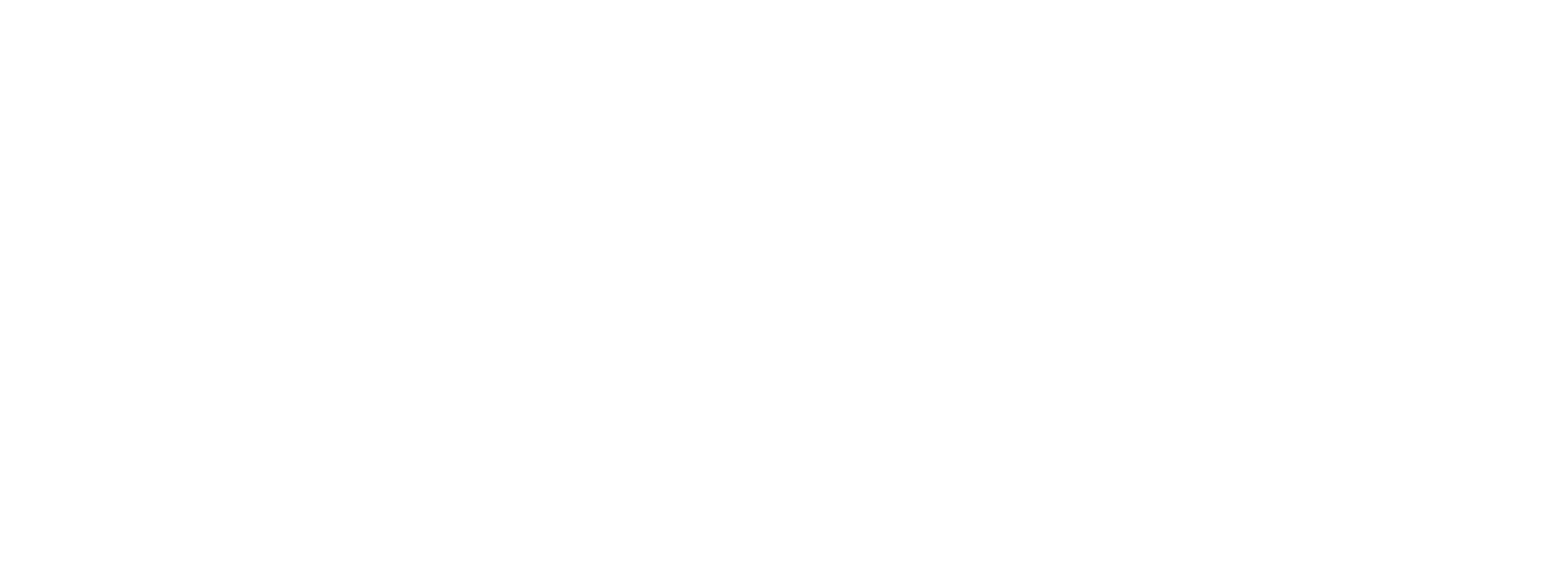 Vivaaerobus